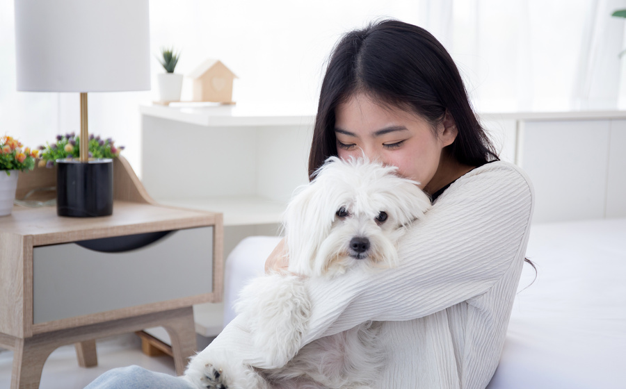 普京:俄同意停火30天建议,细节问题待讨论